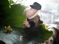 Oveja Militar